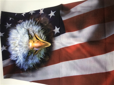 USA Flag UV Neck Gaiter, Eagle